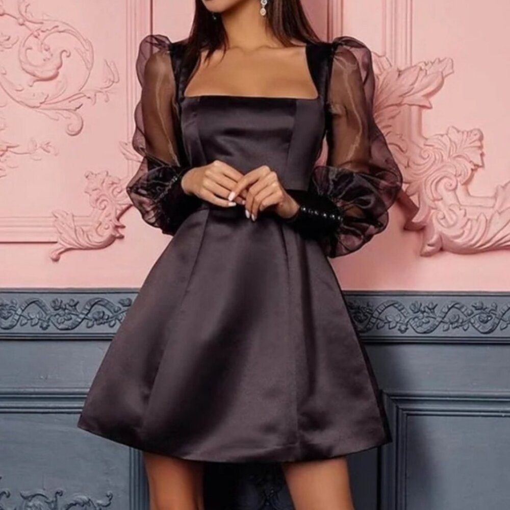 Organza Sleeve Dress